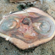 Illustration for article titled E.T.s Face Appears In Tree Stump